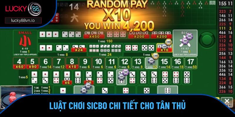 Luật Chơi Sicbo - Nắm Vững Để Làm Chủ Thế Trận Tại Lucky88 Luật chơi sicbo và các kiểu cược thông dụng