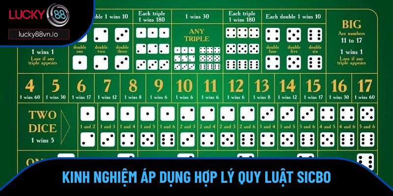 Quy Luật Sicbo - Tham Gia Chơi Ngay Là Thắng Trên Lucky88 Kinh nghiệm áp dụng hợp lý quy luật Sicbo